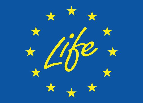 life_1_liten